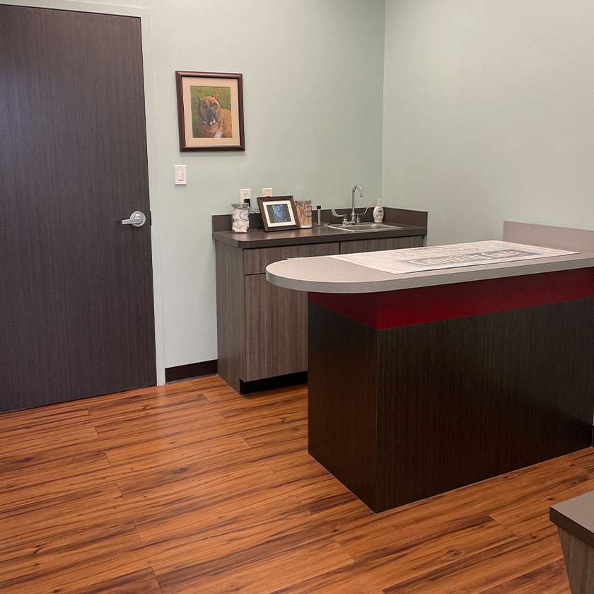 Gallery@680px 0000 IMG 2419