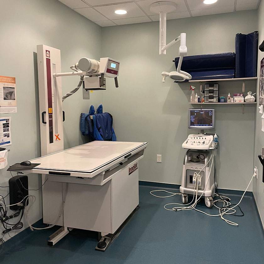 Gallery@680px 0001 IMG 2422