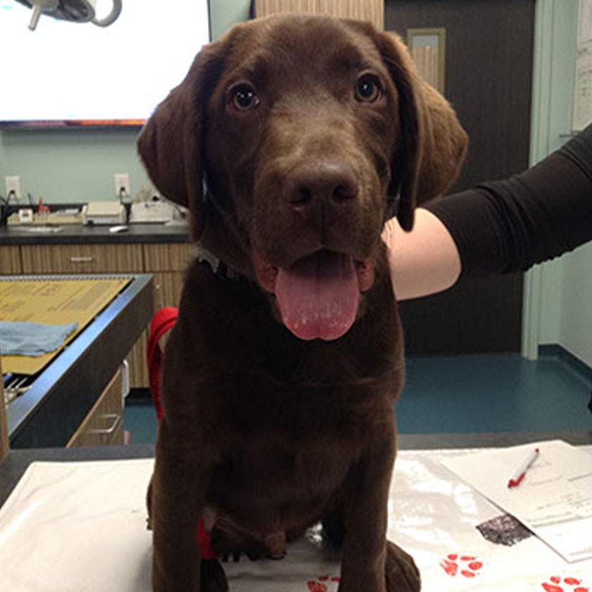 Gallery@680px 0002 img 4579