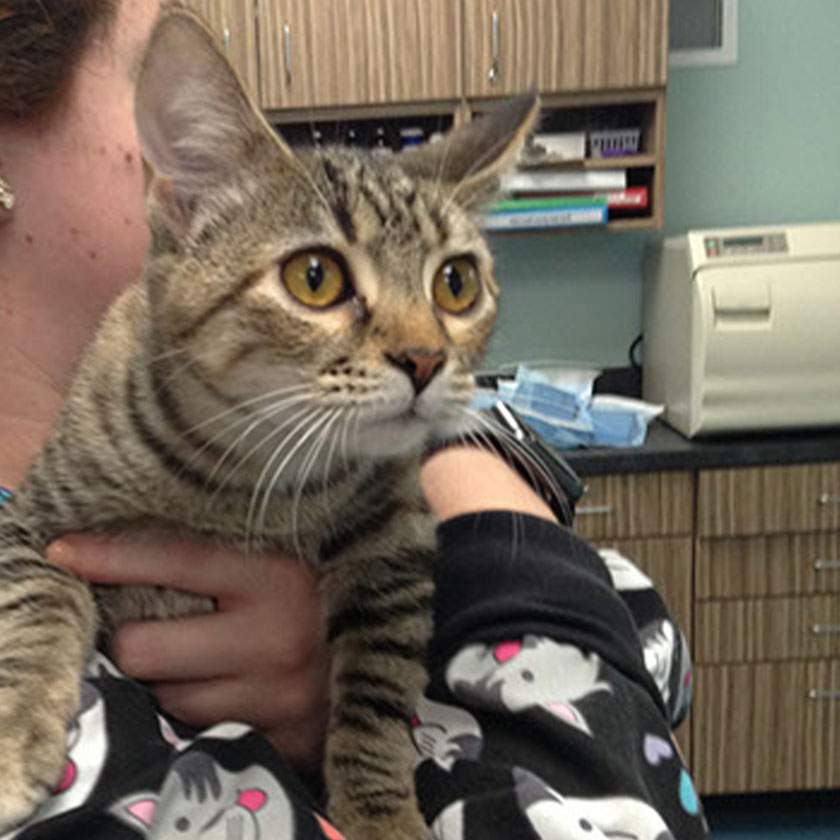 Gallery@680px 0003 img 3911