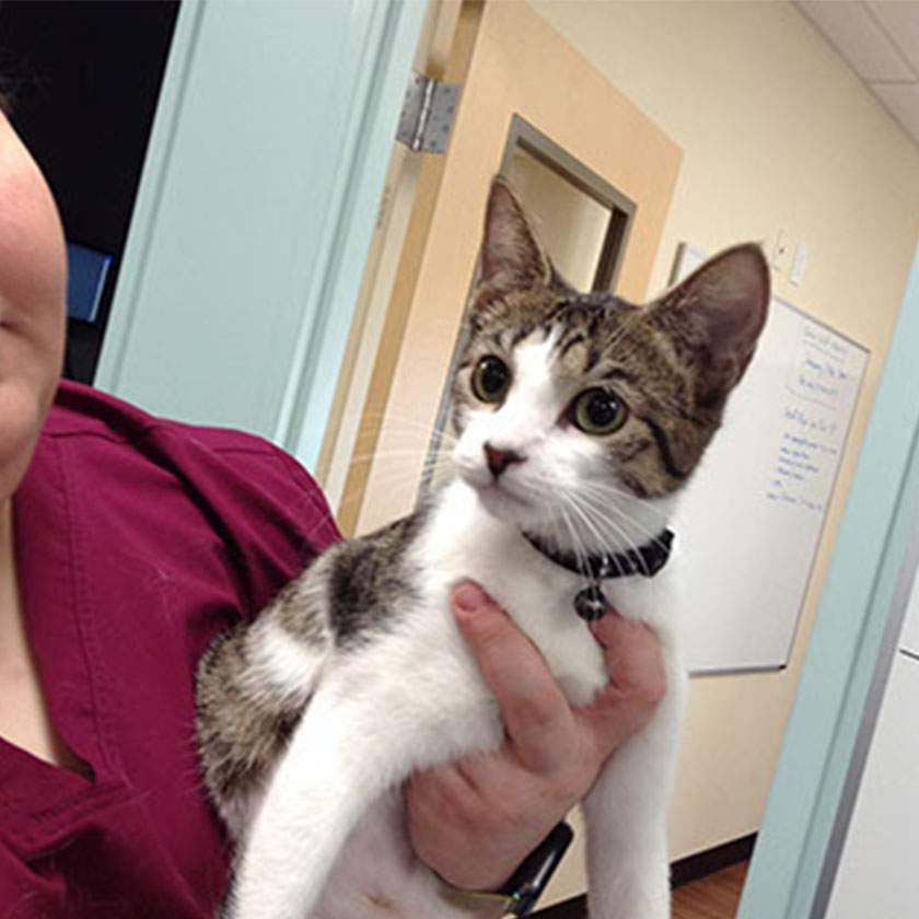 Gallery@680px 0004 img 4532