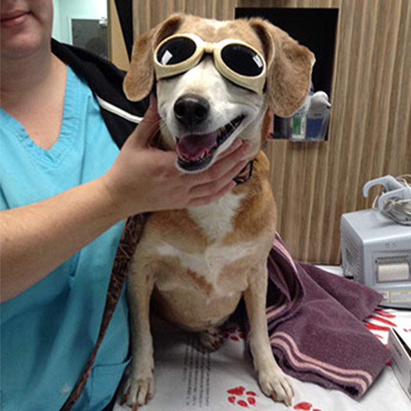 Gallery@680px 0006 img 4057